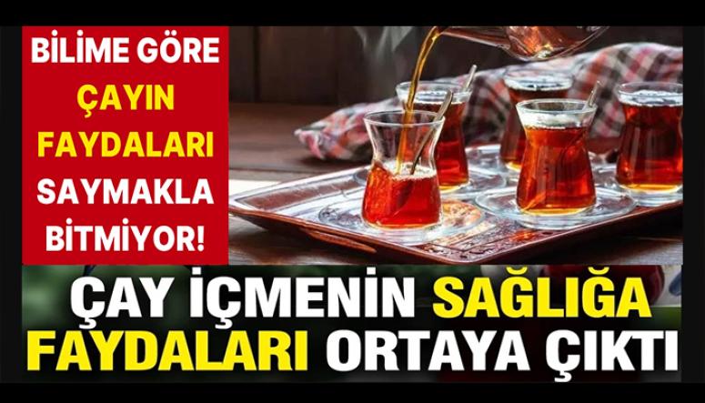 Çay İçmenin Sağlığa Faydaları Belli Oldu 